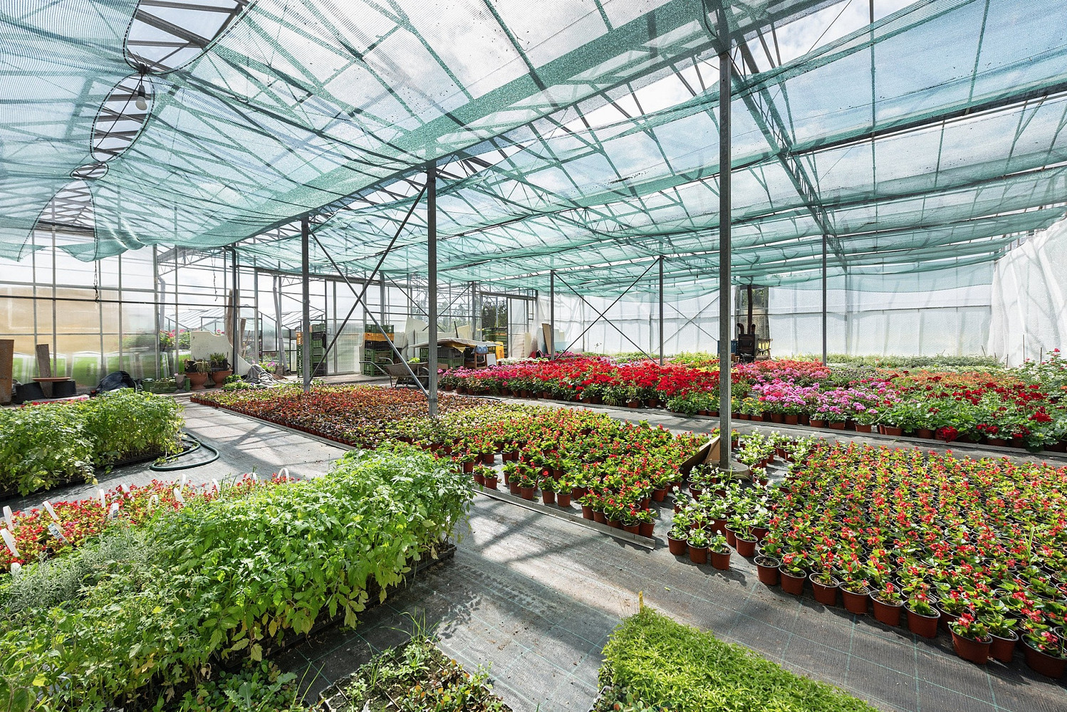 Prodej komerčního objektu (jiného typu) 956 m² – fotografie 4