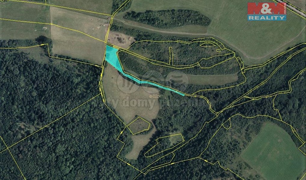 Prodej louky 4 385 m², Mašťov – náhled fotky 3