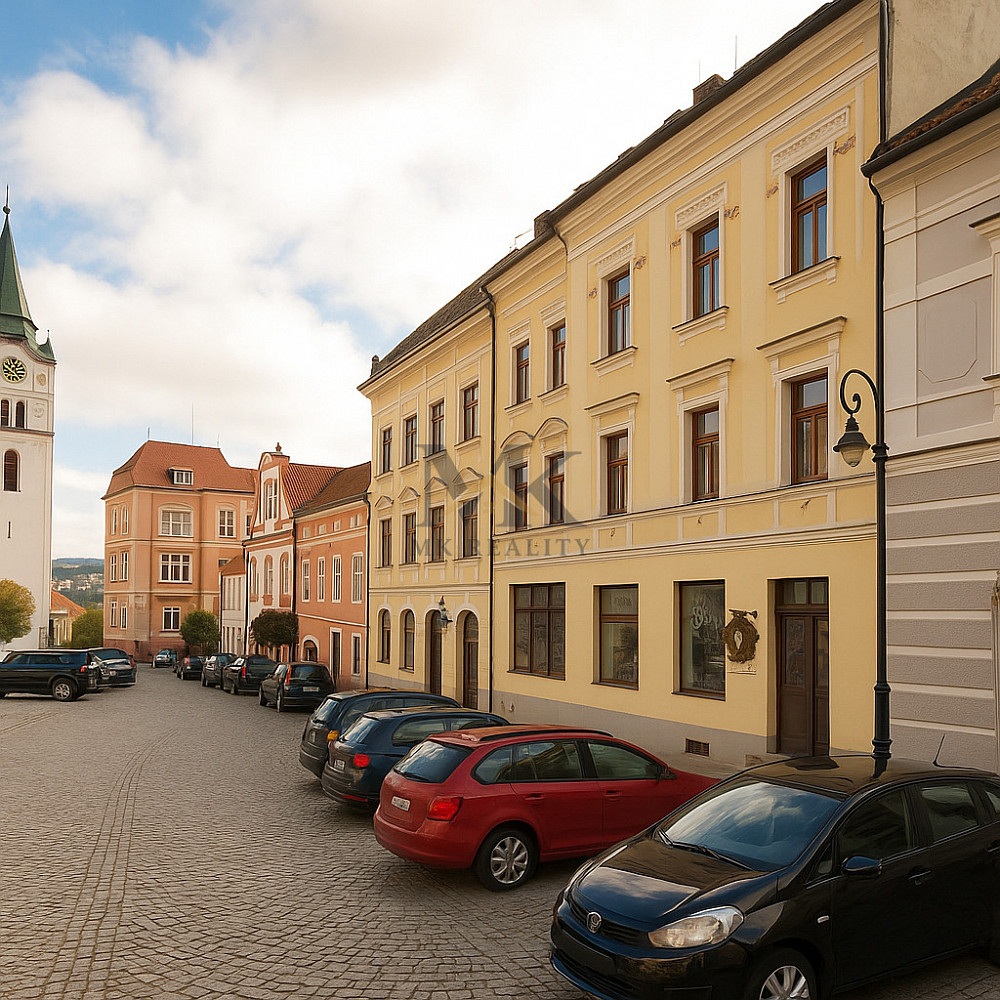 Pronájem bytu 1+1 45 m²