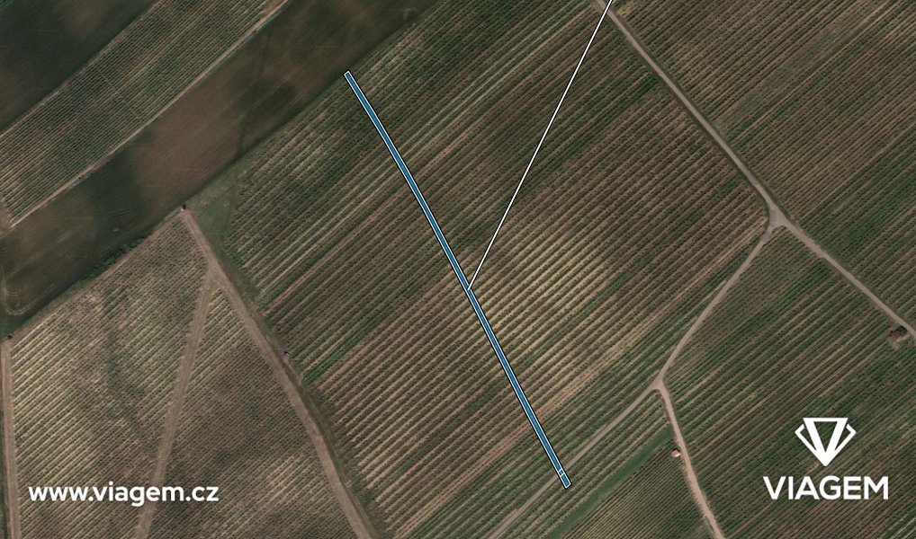 Prodej pole 1 303 m², Prušánky – náhled fotky 2
