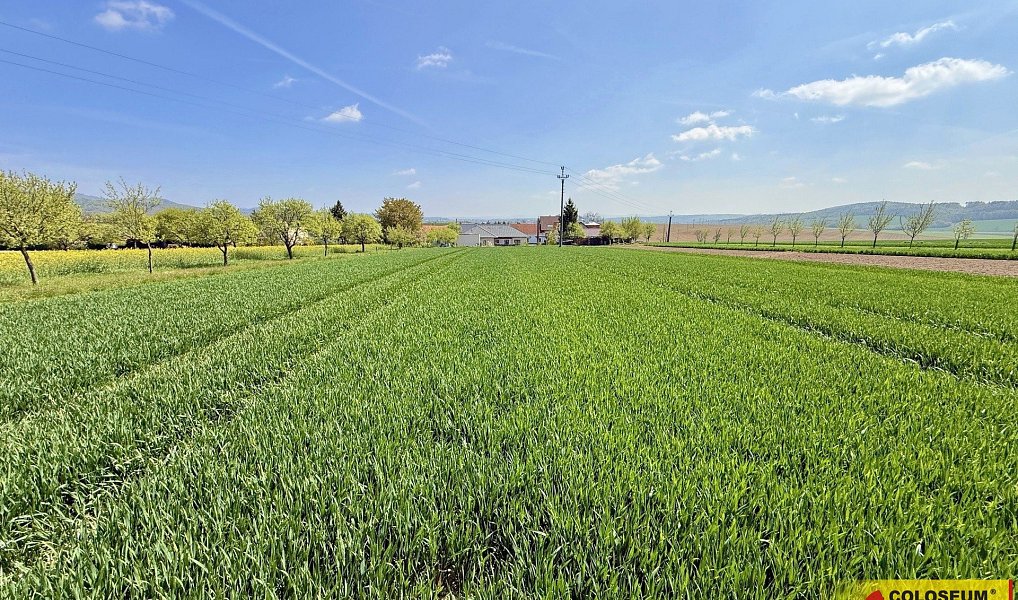 Prodej stavebního pozemku 3 940 m², Fryšták – náhled fotky 10