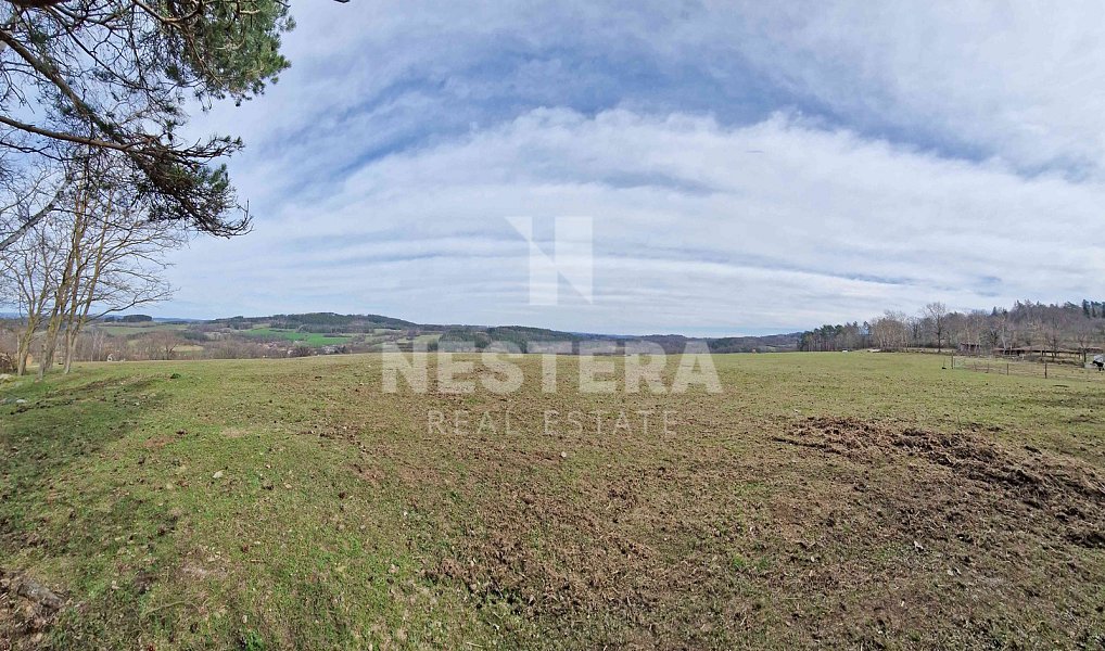 Prodej stavebního pozemku 49 574 m², Nechvalice – náhled fotky 7