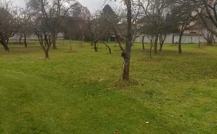 Prodej stavebního pozemku 8 219 m², Mohelnice, okres Šumperk