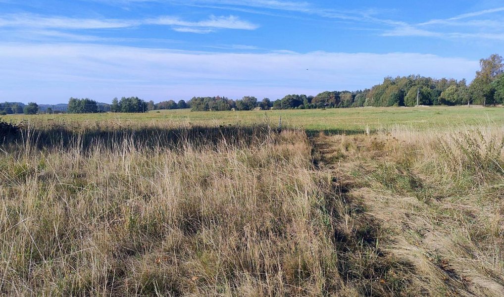 Prodej stavebního pozemku 842 m², Libá – náhled fotky 3