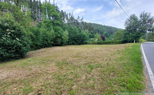 Prodej stavebního pozemku 3 379 m², Hošťálkovy - Staré Purkartice, okres Bruntál