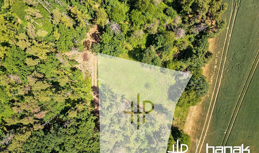 Prodej stavebního pozemku 3 150 m², Hluchov – náhled fotky 2