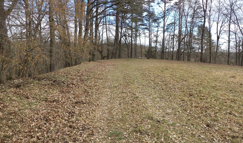 Prodej pozemku 6 591 m², Novosedly nad Nežárkou – náhled fotky 3