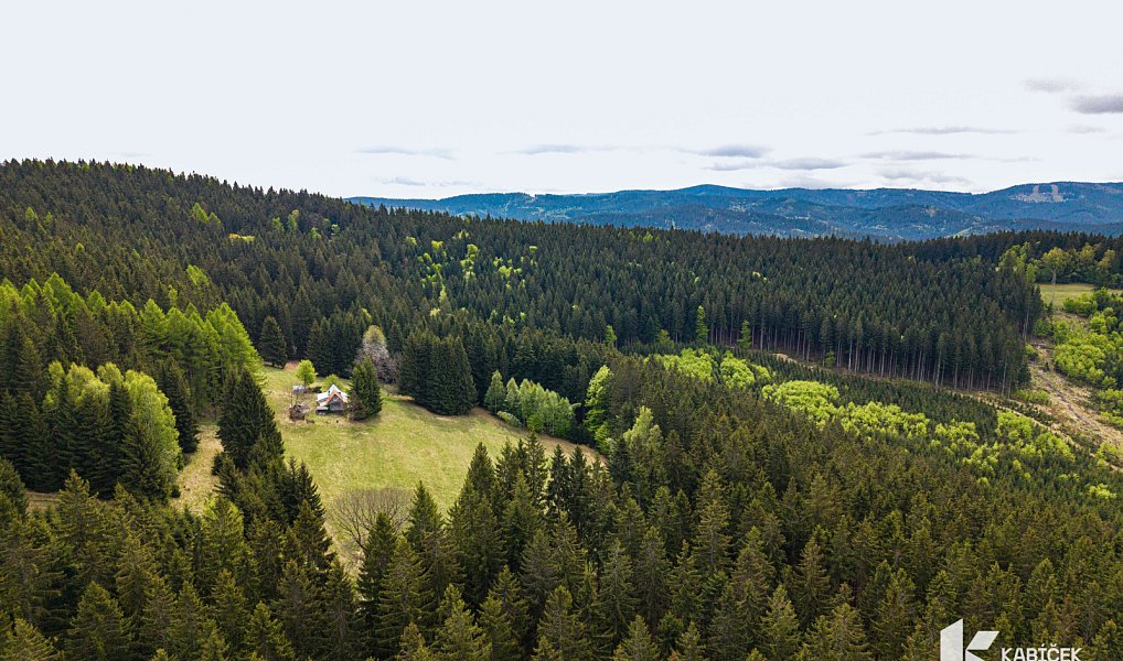 Prodej chaty/chalupy 94 m² s pozemkem 934 m², Velké Karlovice – náhled fotky 22