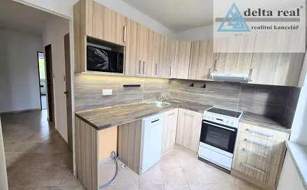 Pronájem bytu 3+1 60 m²