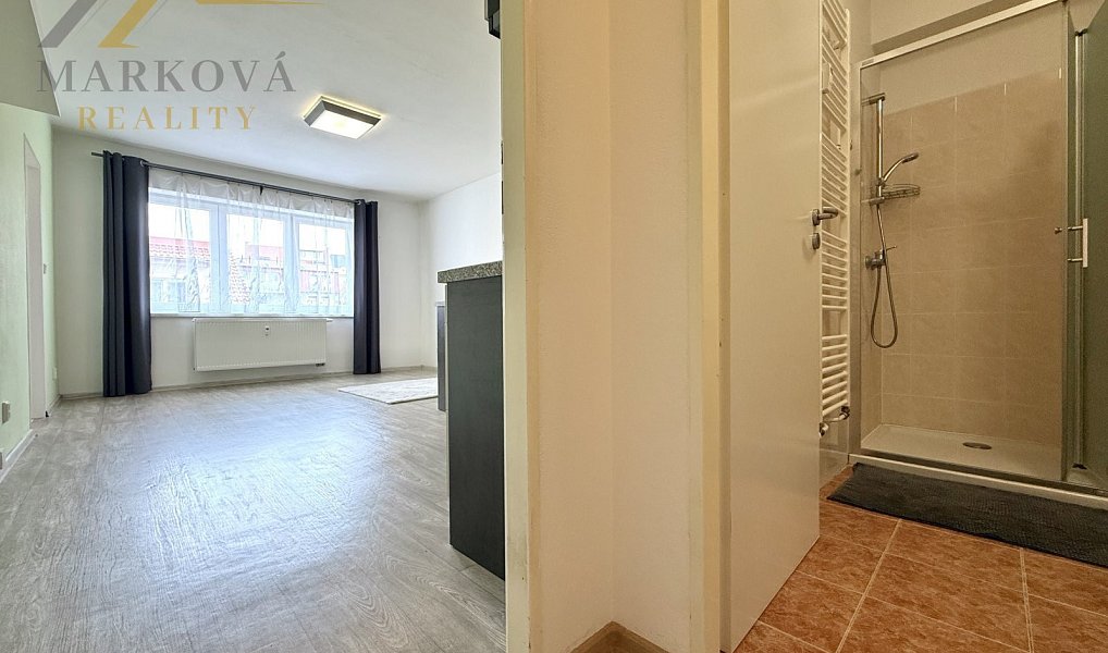 Prodej bytu 2+kk 46 m², České Budějovice – náhled fotky 16