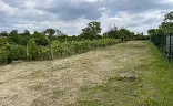 Ostatní
