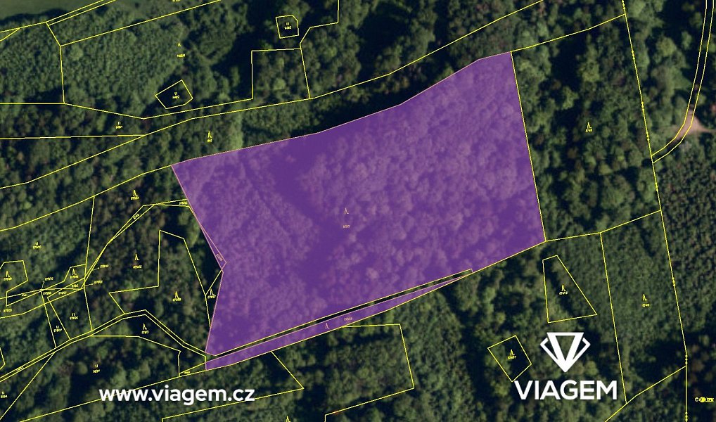 Prodej lesa 5 078 m², Životice u Nového Jičína – náhled fotky 4