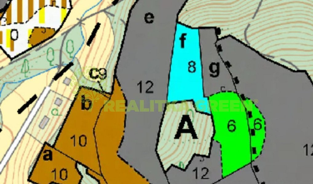 Prodej lesa 17 966 m², Všemina – náhled fotky 2