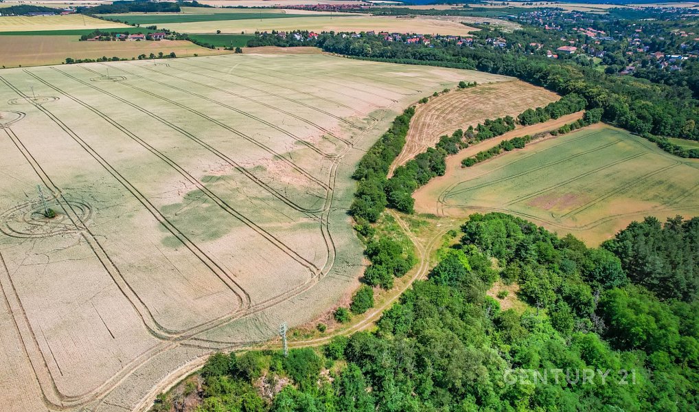 Prodej pole 1 495 m², Statenice – náhled fotky 7