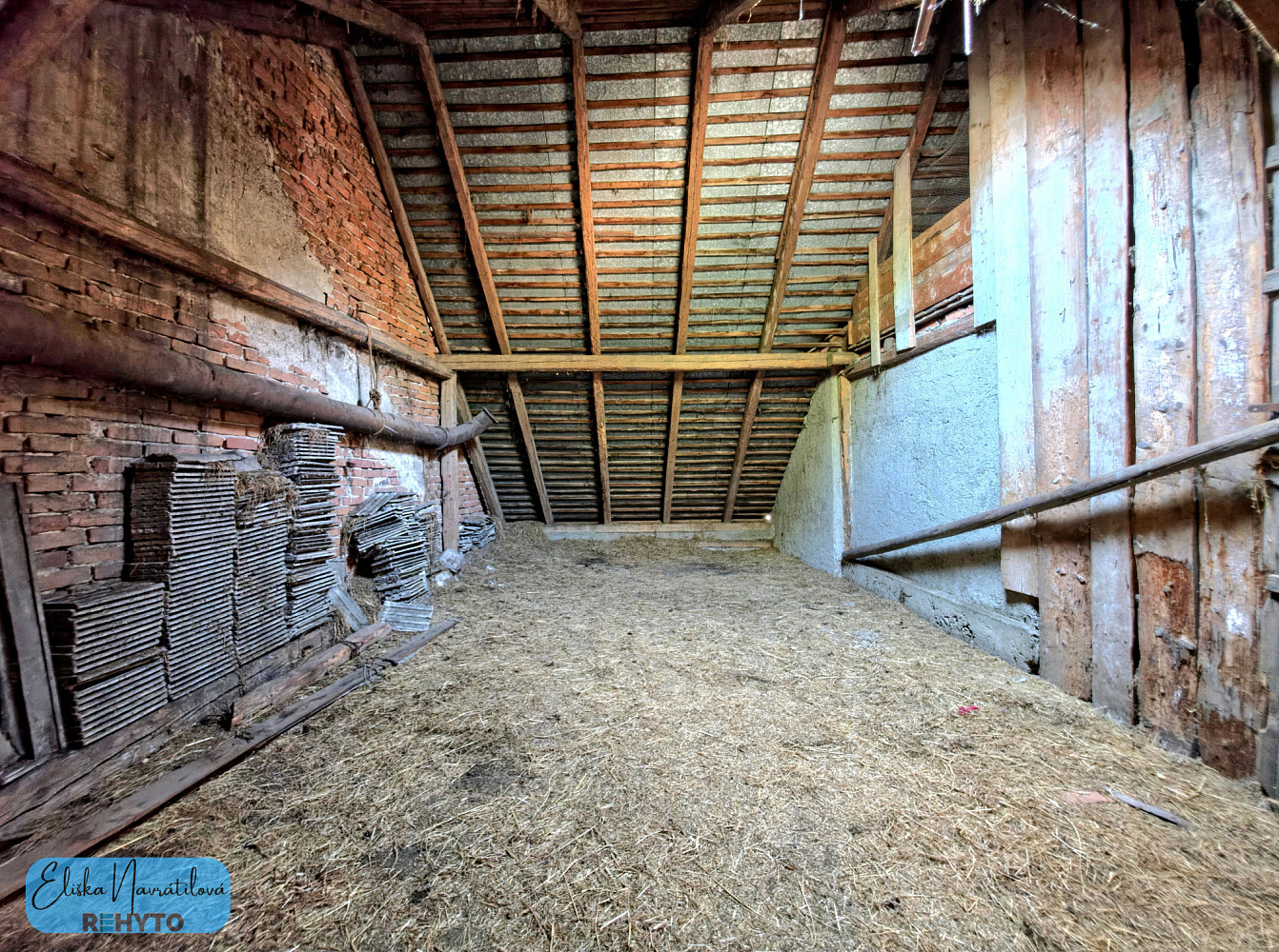 Fotka 10 z 14