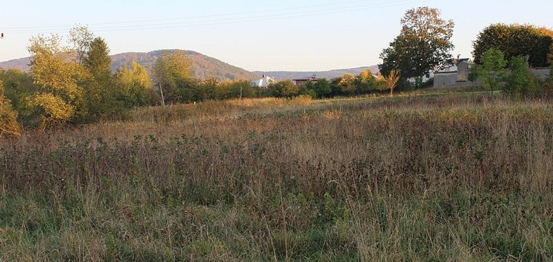Prodej komerčního pozemku 12 121 m² – fotografie 4