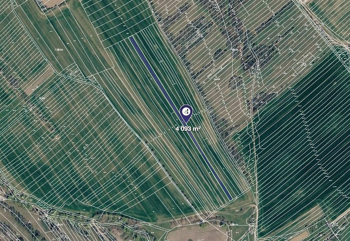 Prodej pole 16 001 m² — photo 4