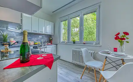 Pronájem bytu 2+1 52 m², Blatenská, Chomutov