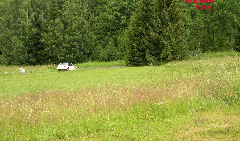 Prodej louky 4 214 m², Benecko – náhled fotky 5