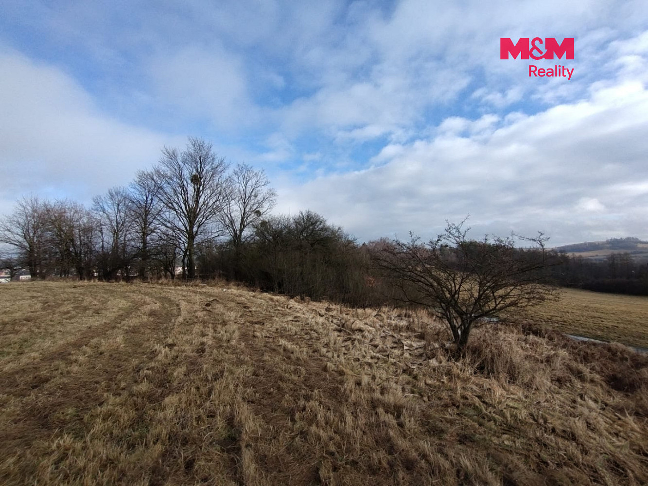 Prodej louky 6 470 m² – fotografie 2