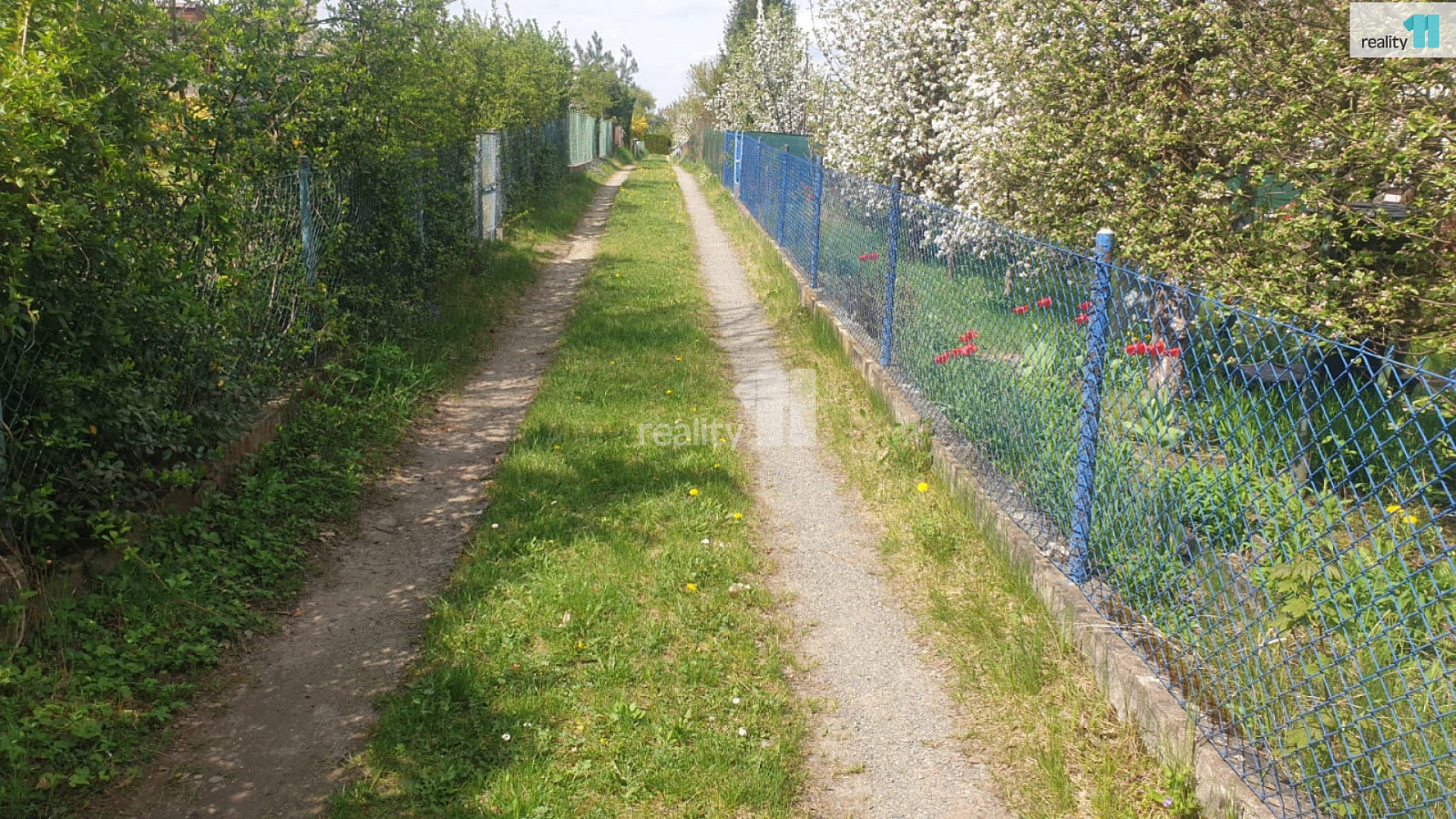 Fotka 6 z 17