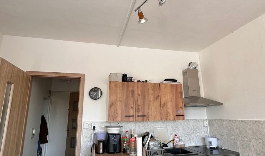 Prodej bytu 1+kk 21 m², Teplice – náhled fotky 9