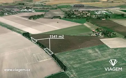 Prodej lesa 659 m², Slepotice, okres Pardubice