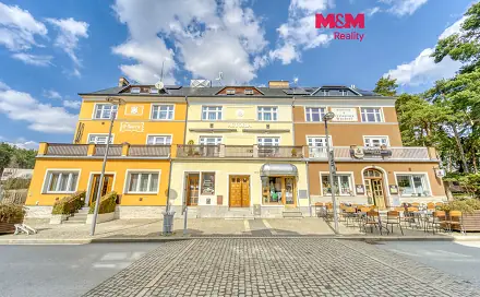 Prodej domu 250 m² s pozemkem 1 171 m², Lázeňská, Konstantinovy Lázně, okres Tachov