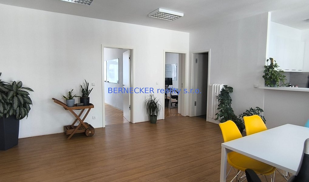 Pronájem bytu 3+kk 105 m², Hradec Králové – náhled fotky 4