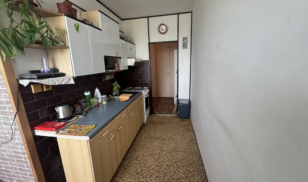 Prodej bytu 2+1 57 m², Vyškov – náhled fotky 9