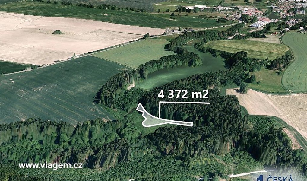 Prodej lesa 1 457 m², Žirovnice – náhled fotky 2