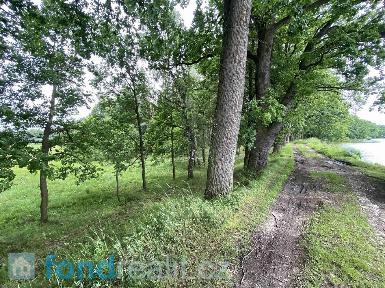 Prodej pozemku 1 639 m², Čejetice