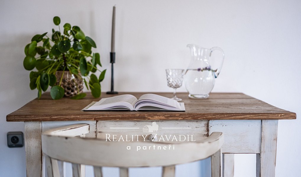 Prodej domu 475 m² s pozemkem 1 627 m², Ráby – náhled fotky 22