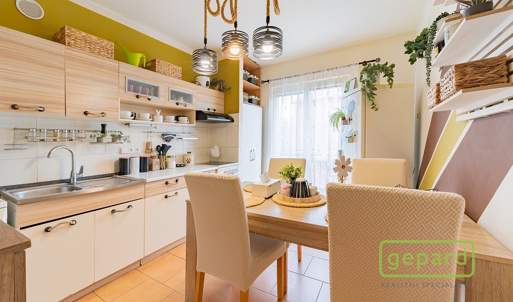 Prodej bytu 2+1 54 m², Ostrov – náhled fotky 2