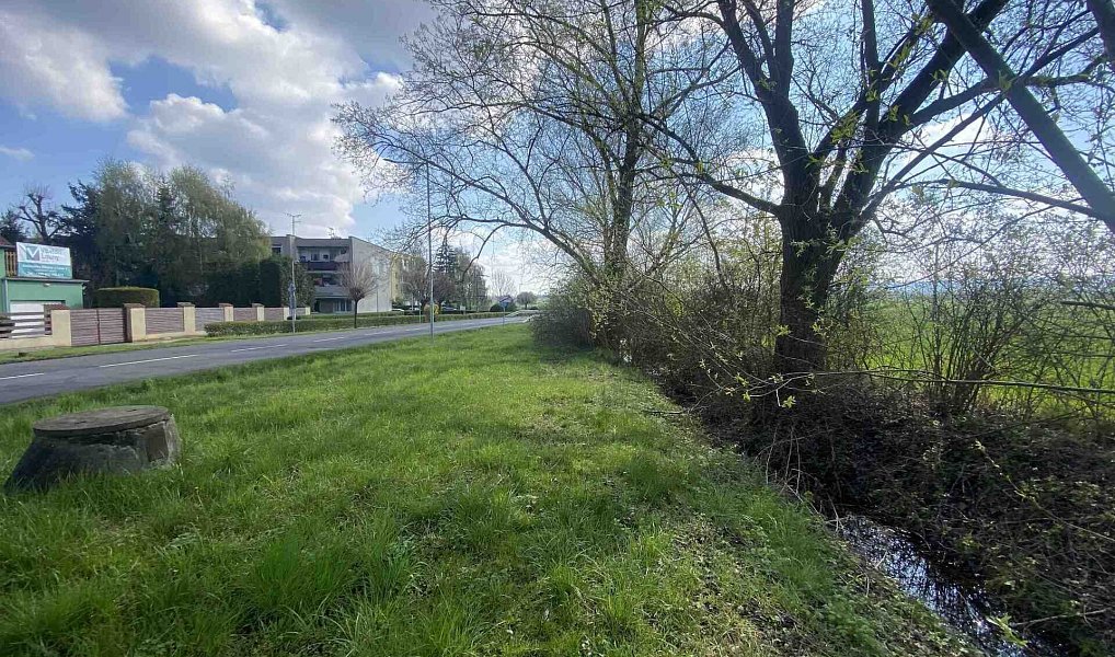 Prodej pozemku 3 560 m², Černčice – náhled fotky 4