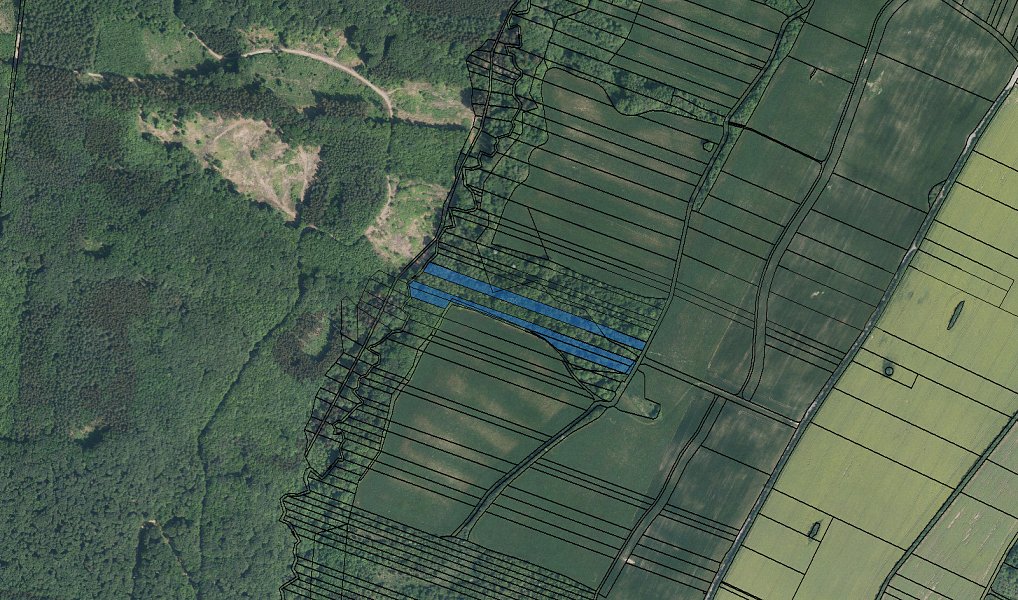 Prodej lesa 11 699 m², Šarovy – náhled fotky 4