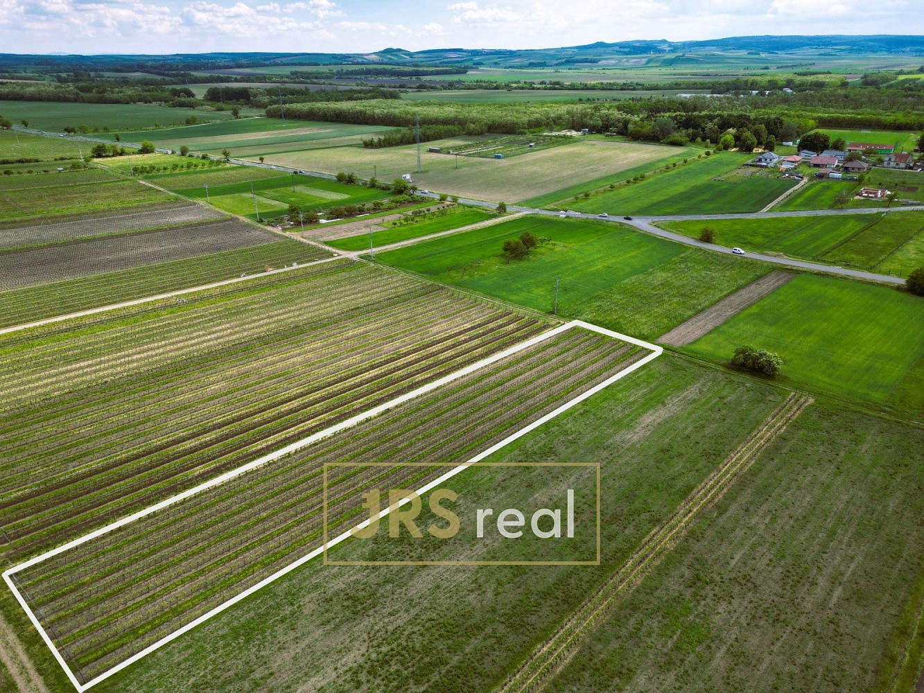 Prodej pole 3 474 m² – fotografie 4