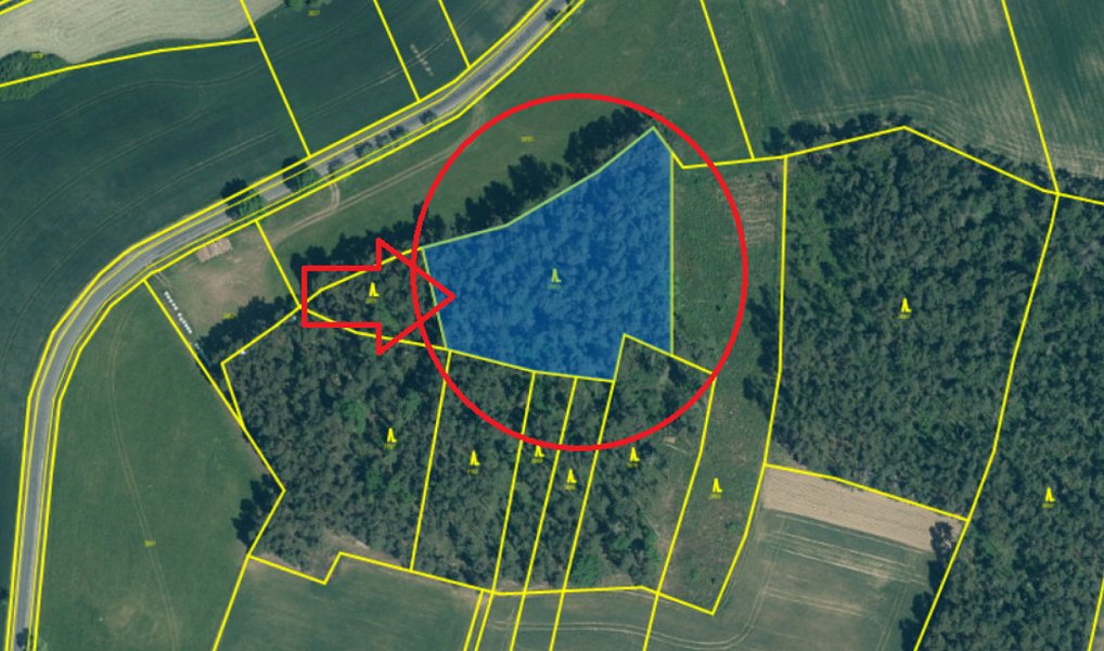 Prodej lesa 2 590 m², Nýřany – náhled fotky 8