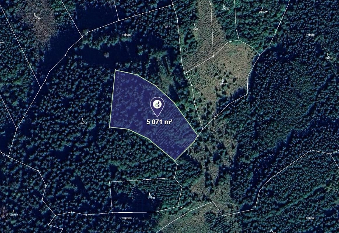 Prodej lesa 5 071 m²