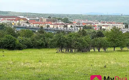 Prodej pole 7 045 m², Nový Šaldorf-Sedlešovice, okres Znojmo