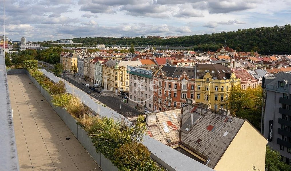 Pronájem kanceláře 460 m², Praha – náhled fotky 6