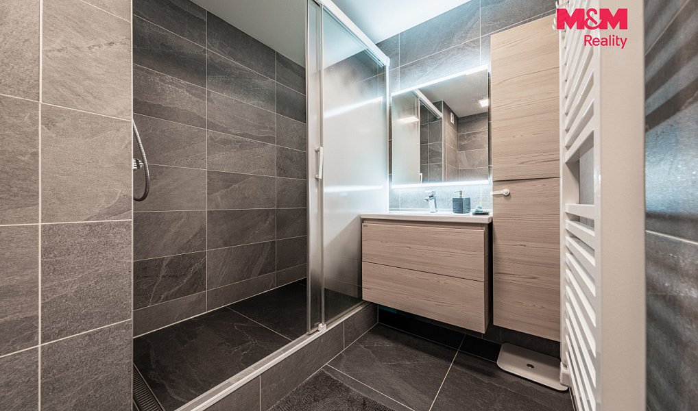 Prodej bytu 3+kk 55 m², Praha – náhled fotky 8