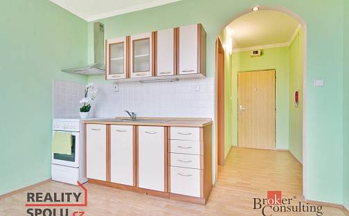 Prodej bytu 1+1 37 m², Harantova, Písek - Budějovické Předměstí