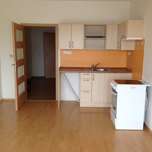 Pronájem bytu 1+kk 30 m²