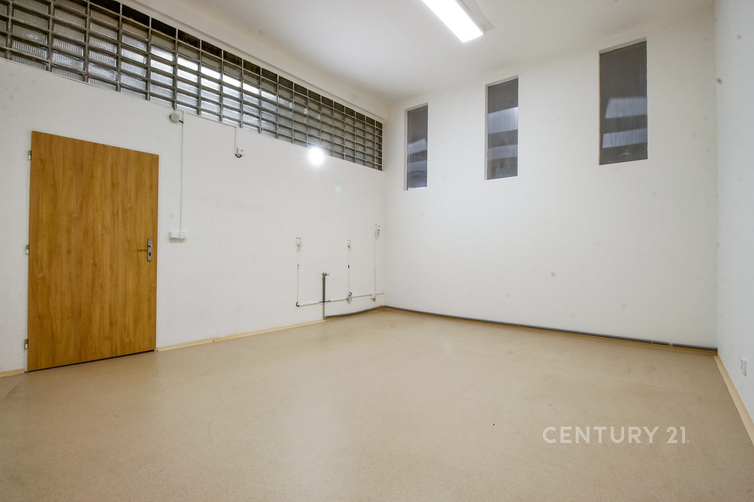 Pronájem kanceláře 262 m² – fotografie 3