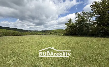 Prodej pole 15 000 m², Luhačovická, Bojkovice, okres Uherské Hradiště