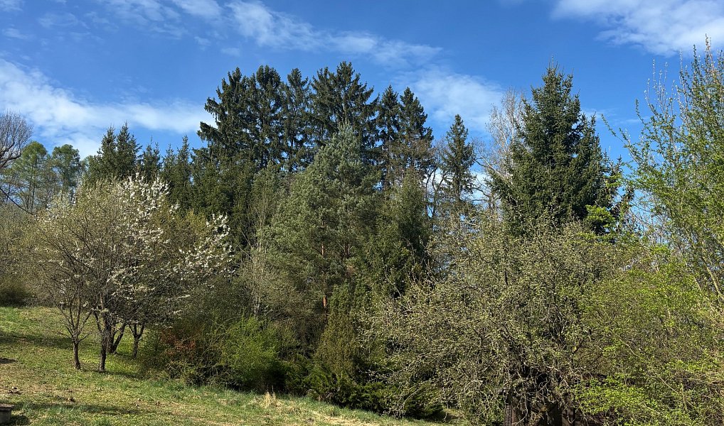 Prodej stavebního pozemku 2 827 m², Hrubá Skála – náhled fotky 10