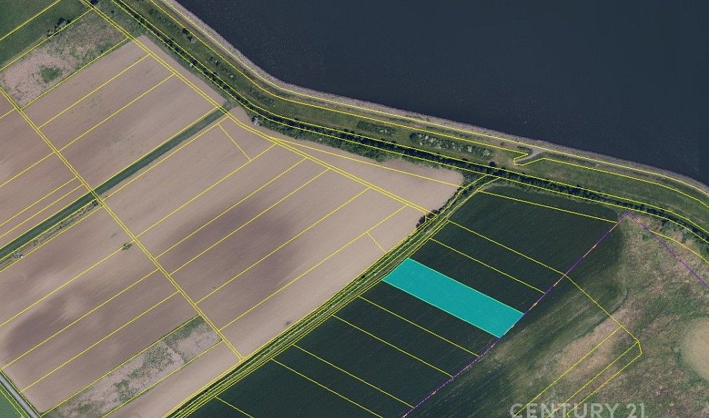 Prodej pole 9 682 m², Pavlov – náhled fotky 2