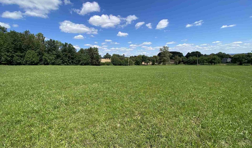 Prodej pozemku 3 466 m², Boňkov – náhled fotky 4