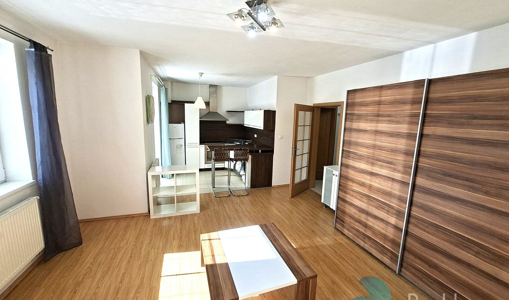 Pronájem bytu 1+kk 40 m², Dobrá Voda u Českých Budějovic – náhled fotky 5